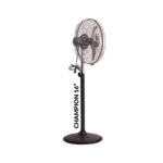Pedestal and Farrata Fans - Image 5