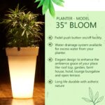 Atul Bloom Planter - Image 3