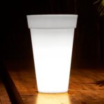 Atul Bloom Planter - Image 11