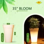 Atul Bloom Planter - Image 4